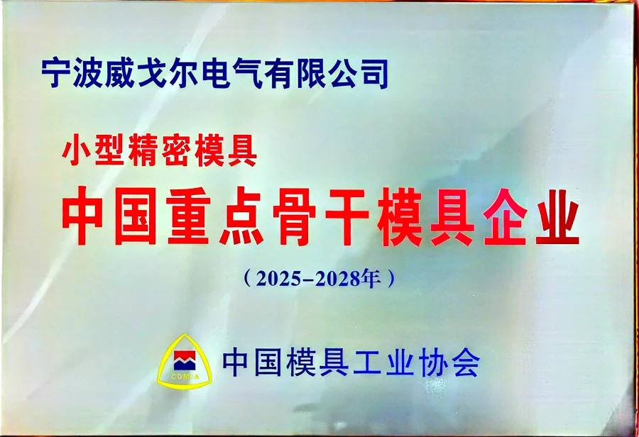 中国重点骨干模具企业