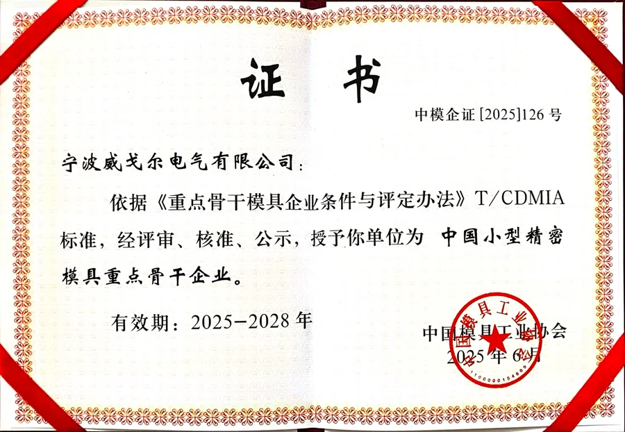 中国小型精密模具重点骨干企业